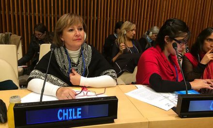 Diputada Hernando impulsó sesión especial en la Cámara Baja ante aumento de suicidios infanto-juvenil en Chile