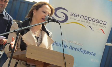 Diputada Hernando destacó trabajo de la Comisión de Pesca en desarrollo de nueva institucionalidad jurídica