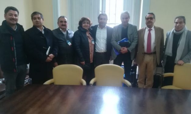 Bancada Radical se reúne con Colegio de Profesores y anuncia rechazo a “Admisión Justa”